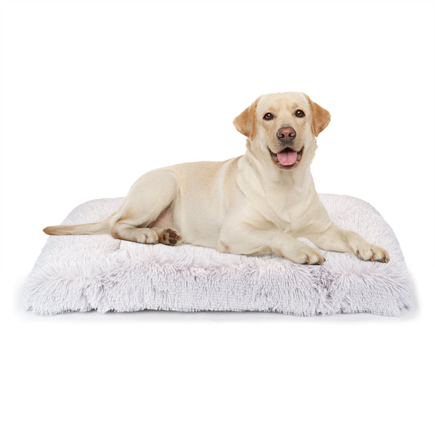 SHANTI Cat & Dog Cushion