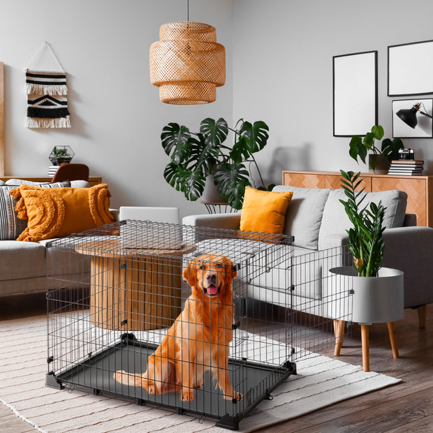 DOG ZONE dog crate
