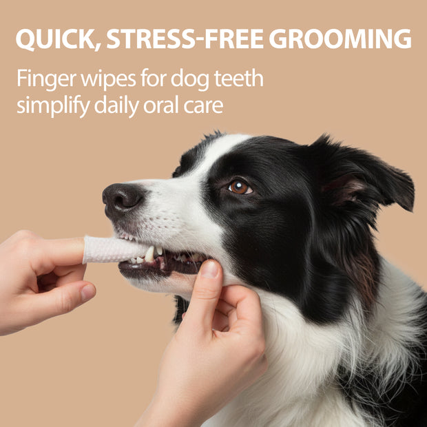 DISPOSABLE DENTAL FINGER PADS FOR DOGS AND CATS NATURÉ (x50)