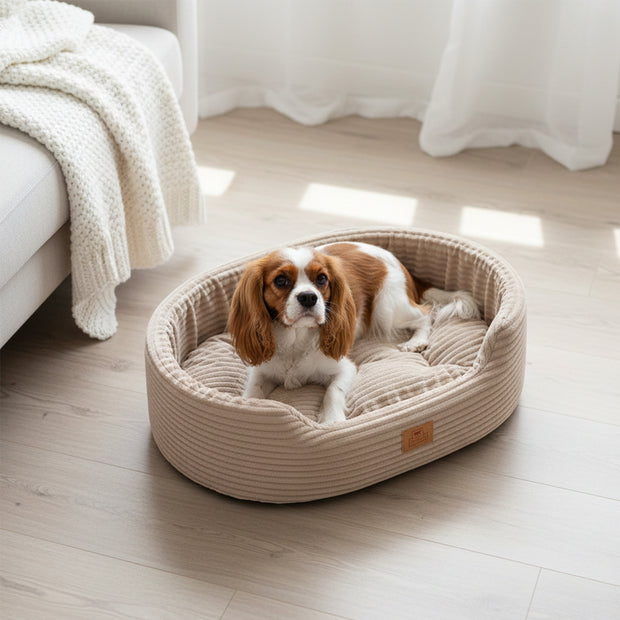 DANDY CORDUROY Sofa-style bed with removable cushion for dogs and cats