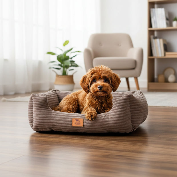 SWEETIE CORDUROY Soft bed for dogs and cats