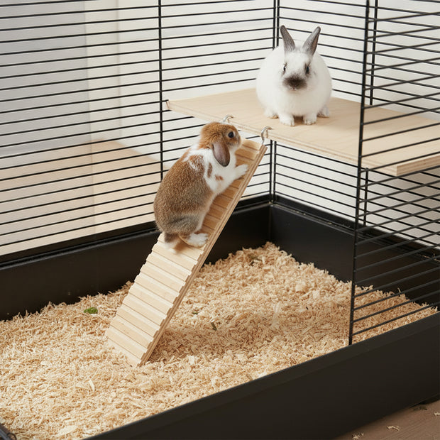 ARCADE LADDER Wooden toy for hamsters and small animals