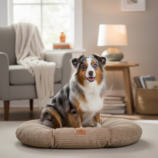 RELAX CORDUROY Oval cushion for dogs and cats