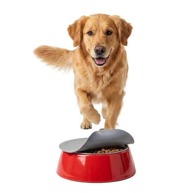 PET BOWL LID