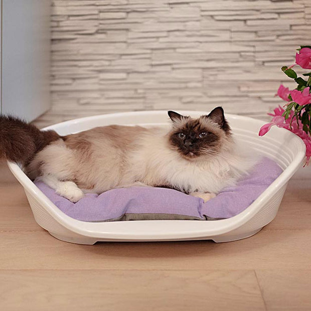 SIESTA DELUXE