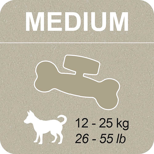 100% SNACK FILLABLE - BONE EUGLENA