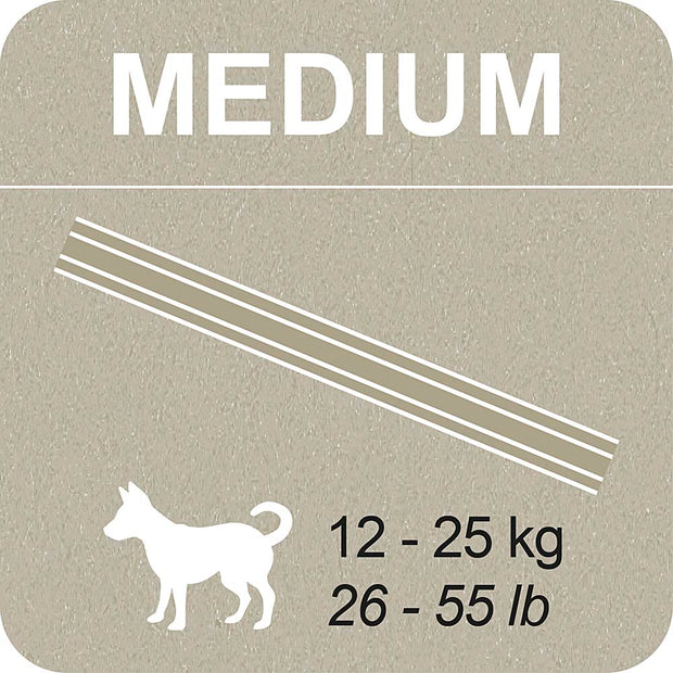 100% SNACK STICKS - SNOWFLAKE ASCOPHILLUM