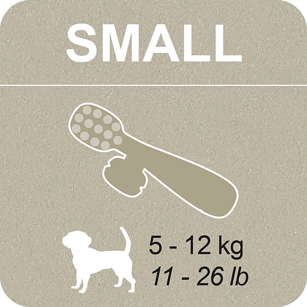 100% SNACK FILLABLE -  TOOTHBRUSH ASCOPHILLUM