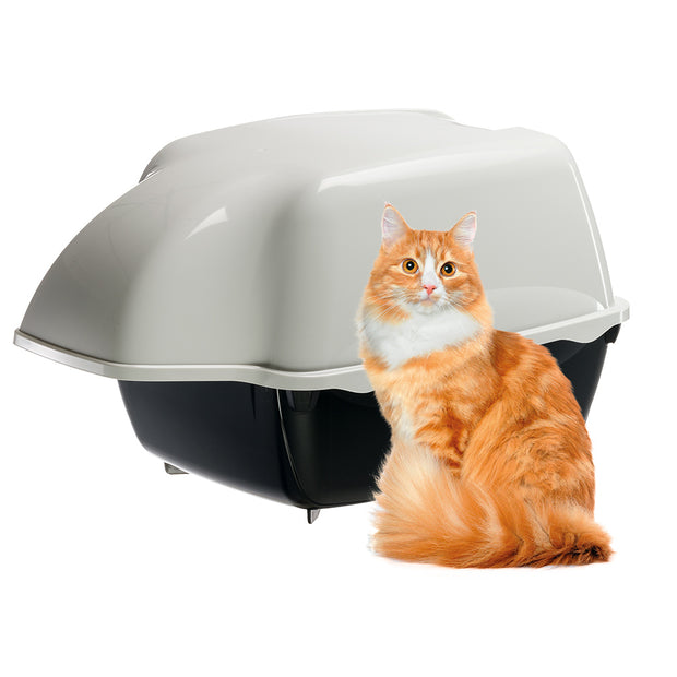 Outdoor cat toilet uk deals