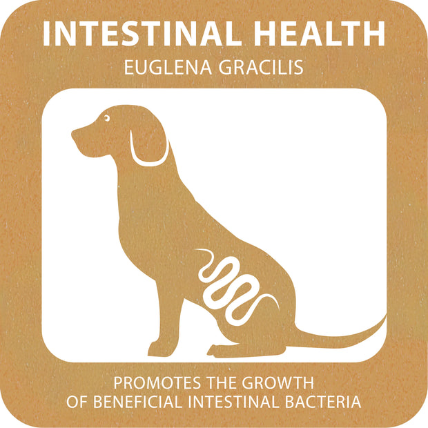 100% SNACK FILLABLE - TOOTHBRUSH EUGLENA