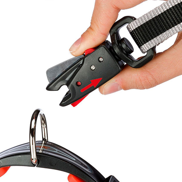 DAYTONA GUMMY MATIC G