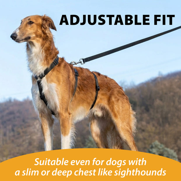 BRAVE