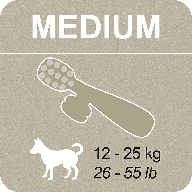 100% SNACK FILLABLE - TOOTHBRUSH YUCCA