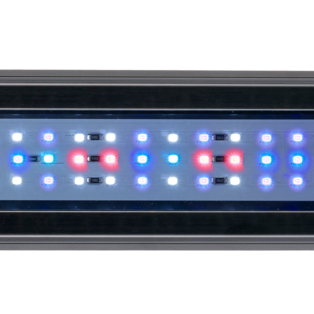 AQ-LUX REEF Lamp
