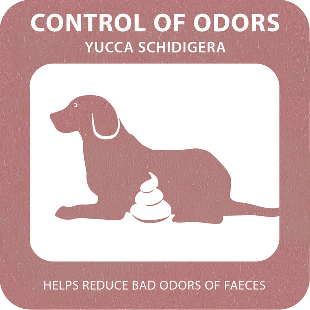 100% SNACK FILLABLE -  TOOTHBRUSH YUCCA